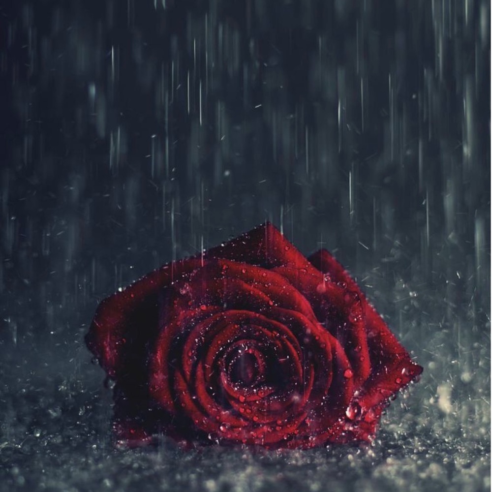 Meet your Posher, Sage